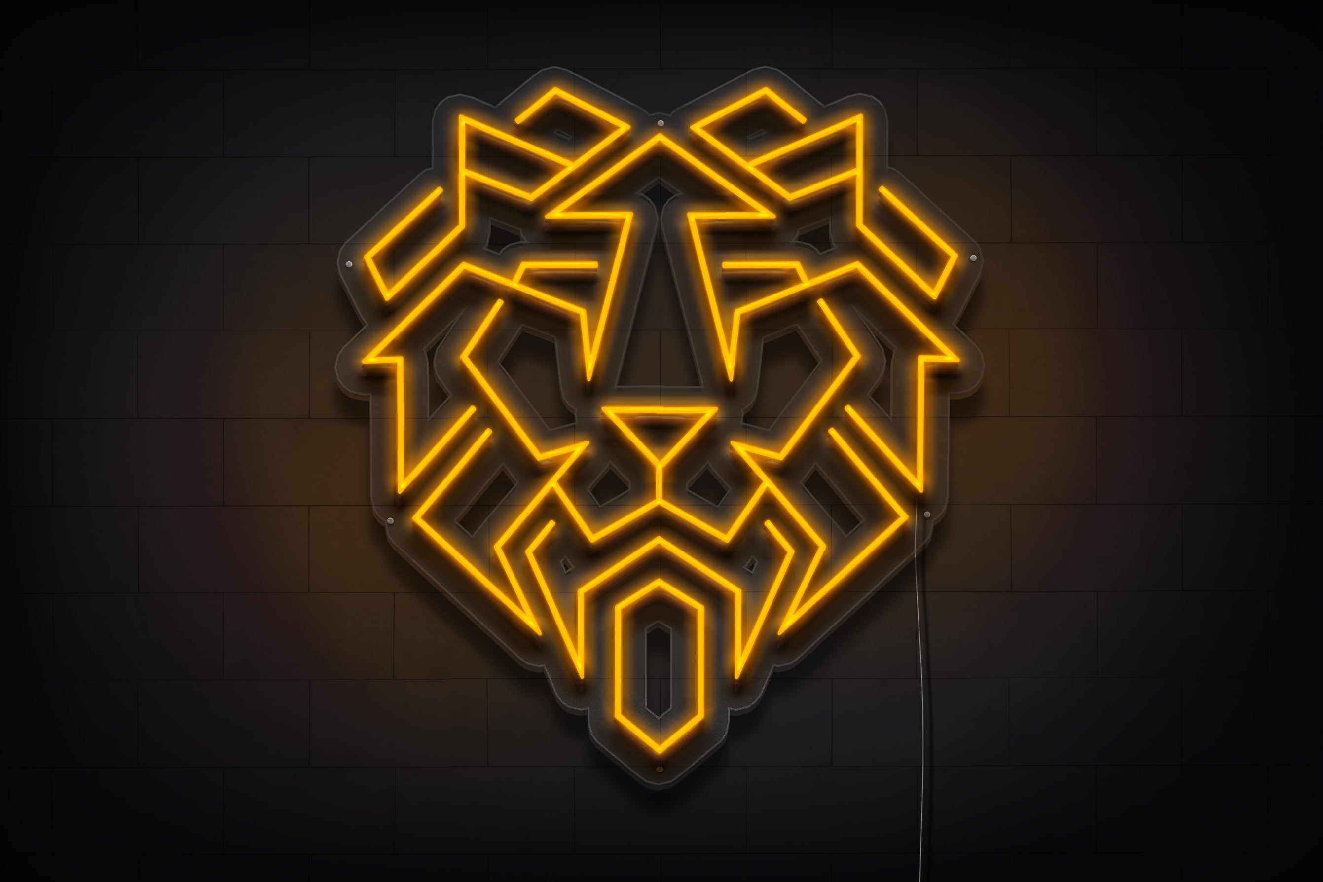 Z1656 Customized LED logo to Ben