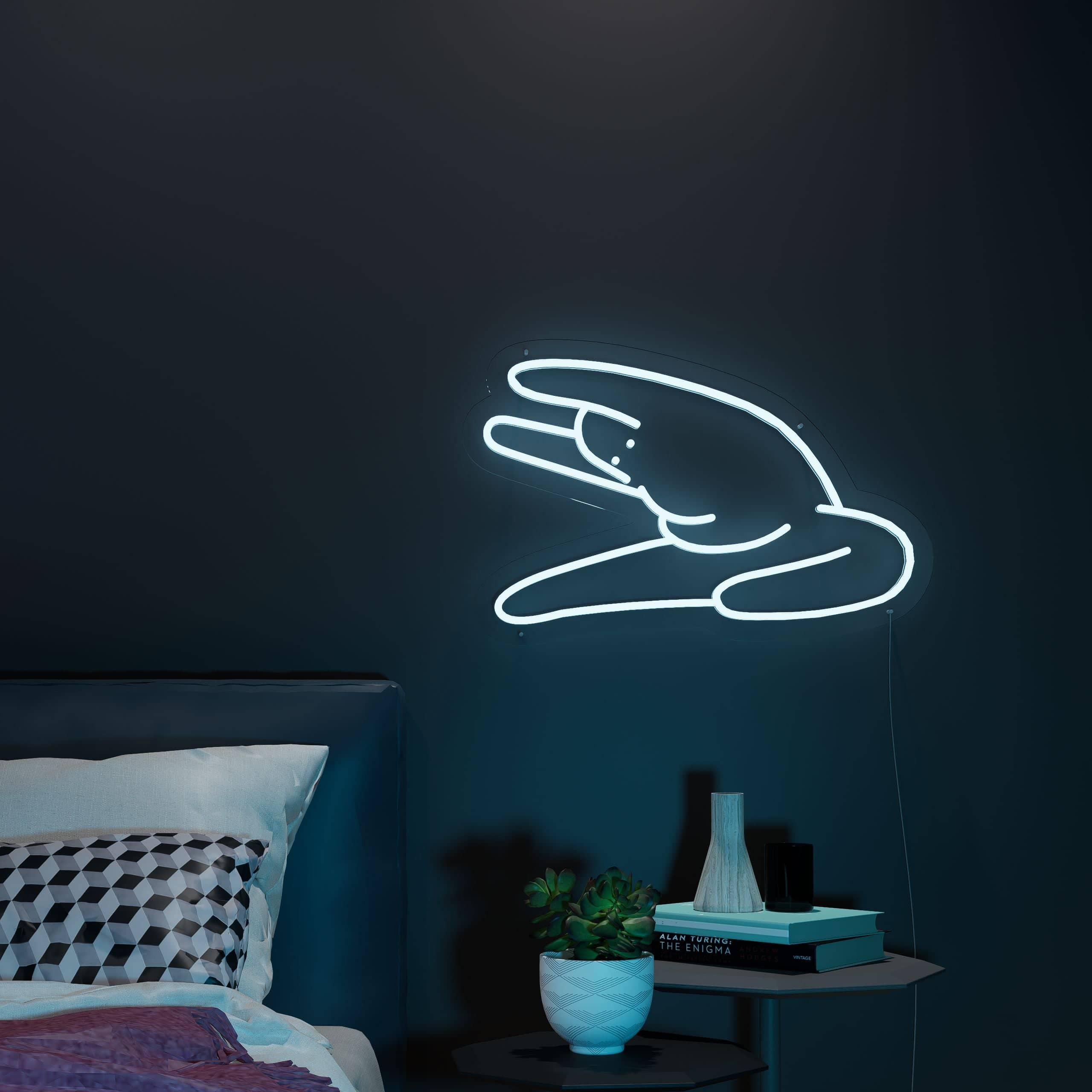 Create laughs at home with a funny neon sign