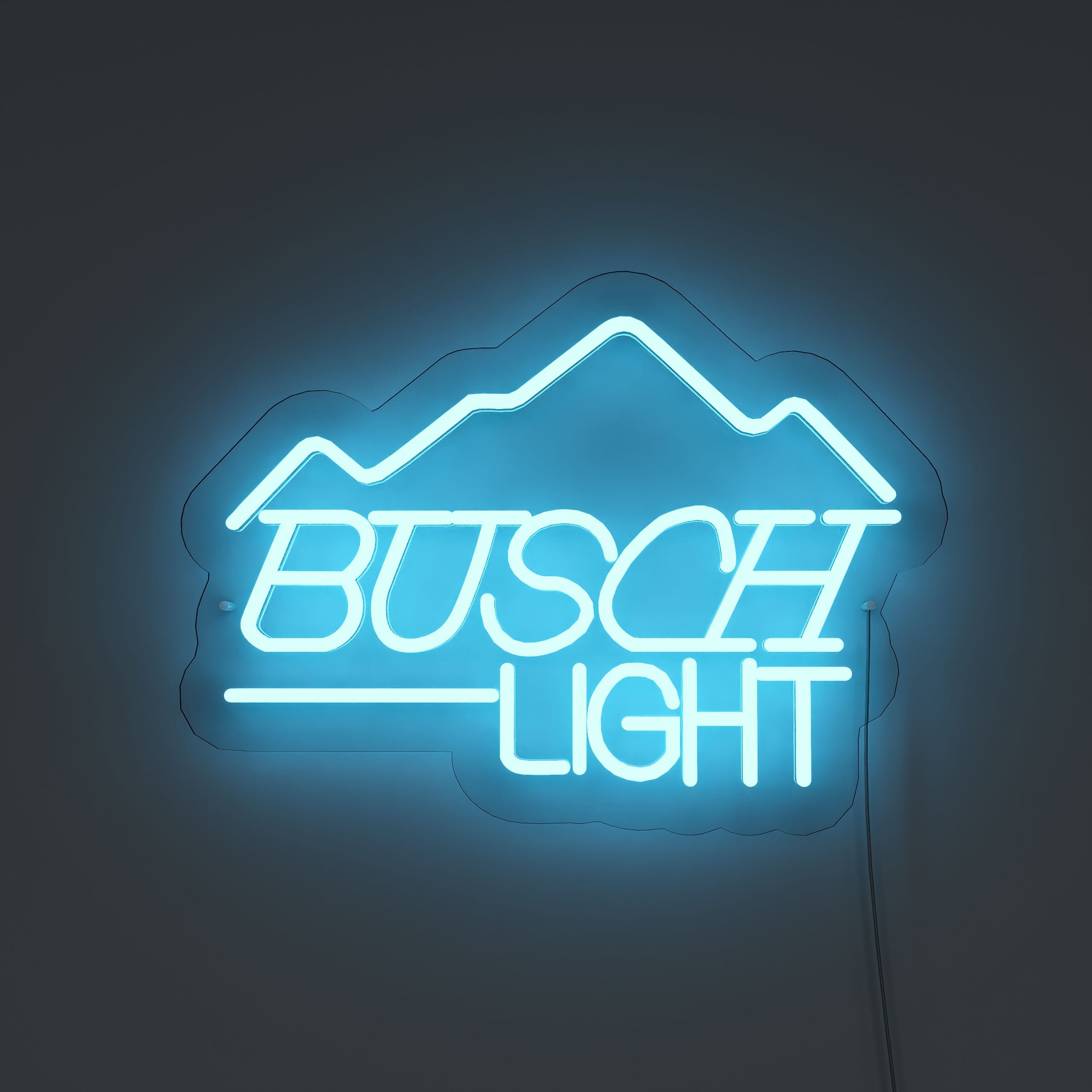 fbusch-light-neon-signs-DarkBlue-Neon-sign-Lite