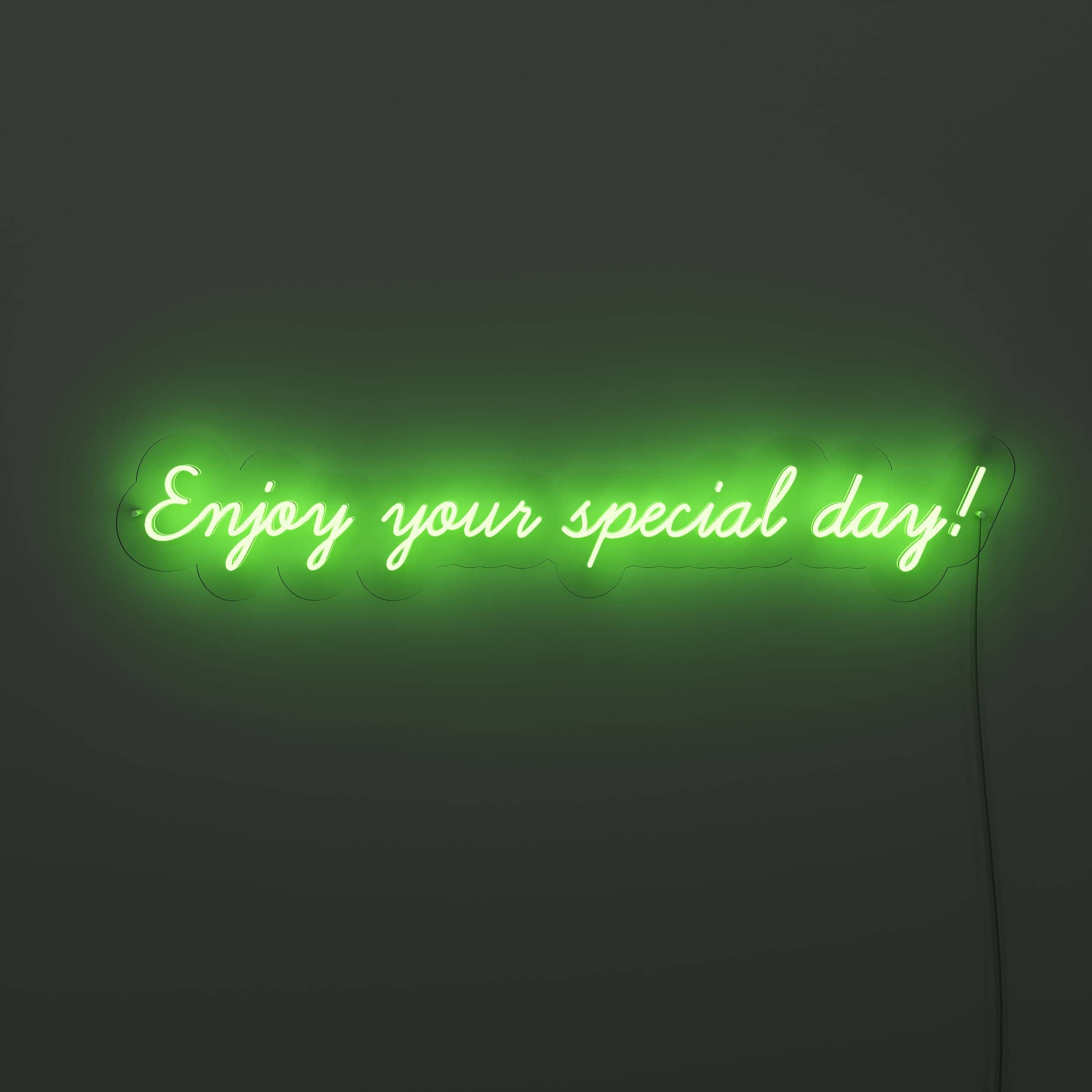 embrace-the-joy-and-excitement-of-your-special-day!-neon-sign-lite