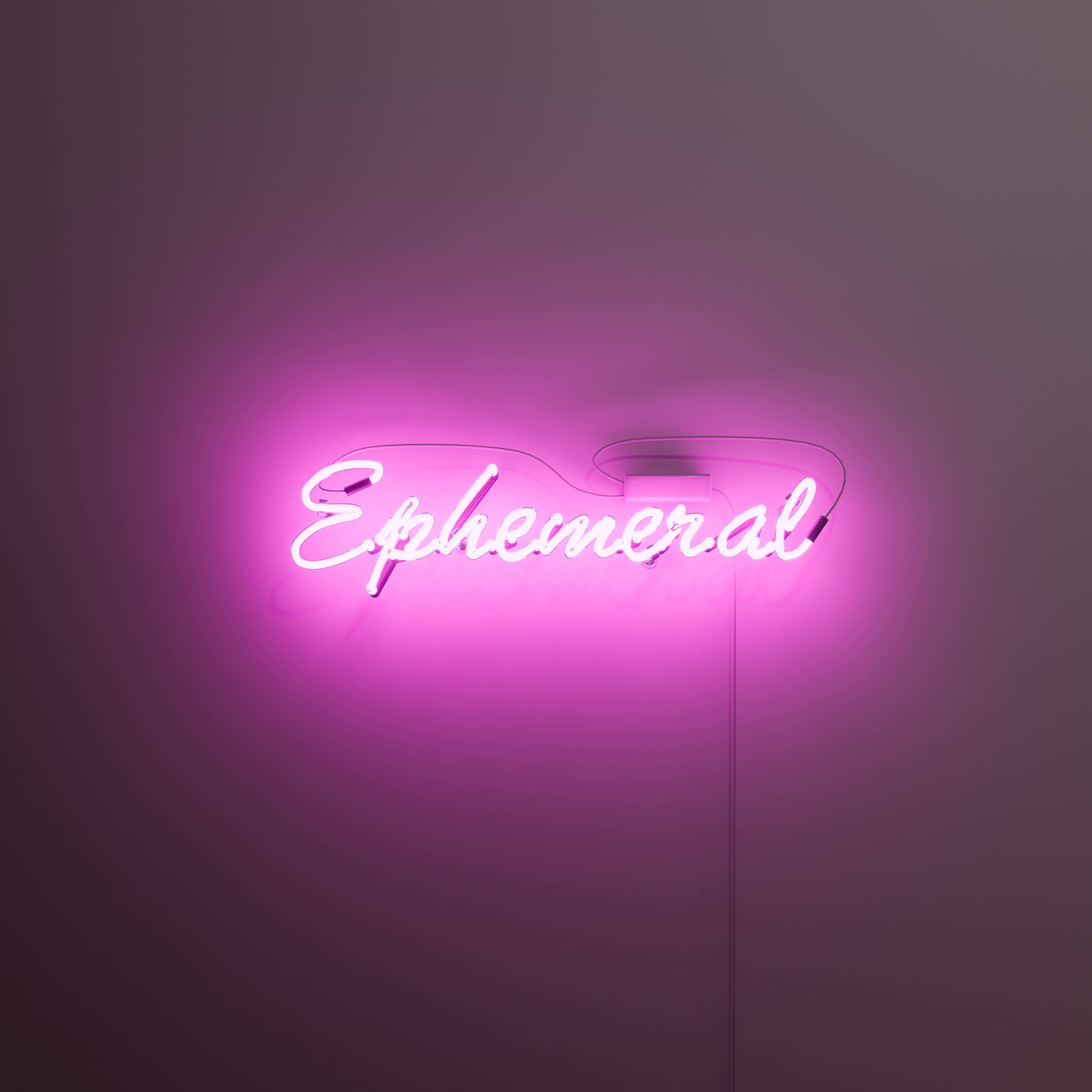 vintage-neon-signs-illuminate-'ephemeral