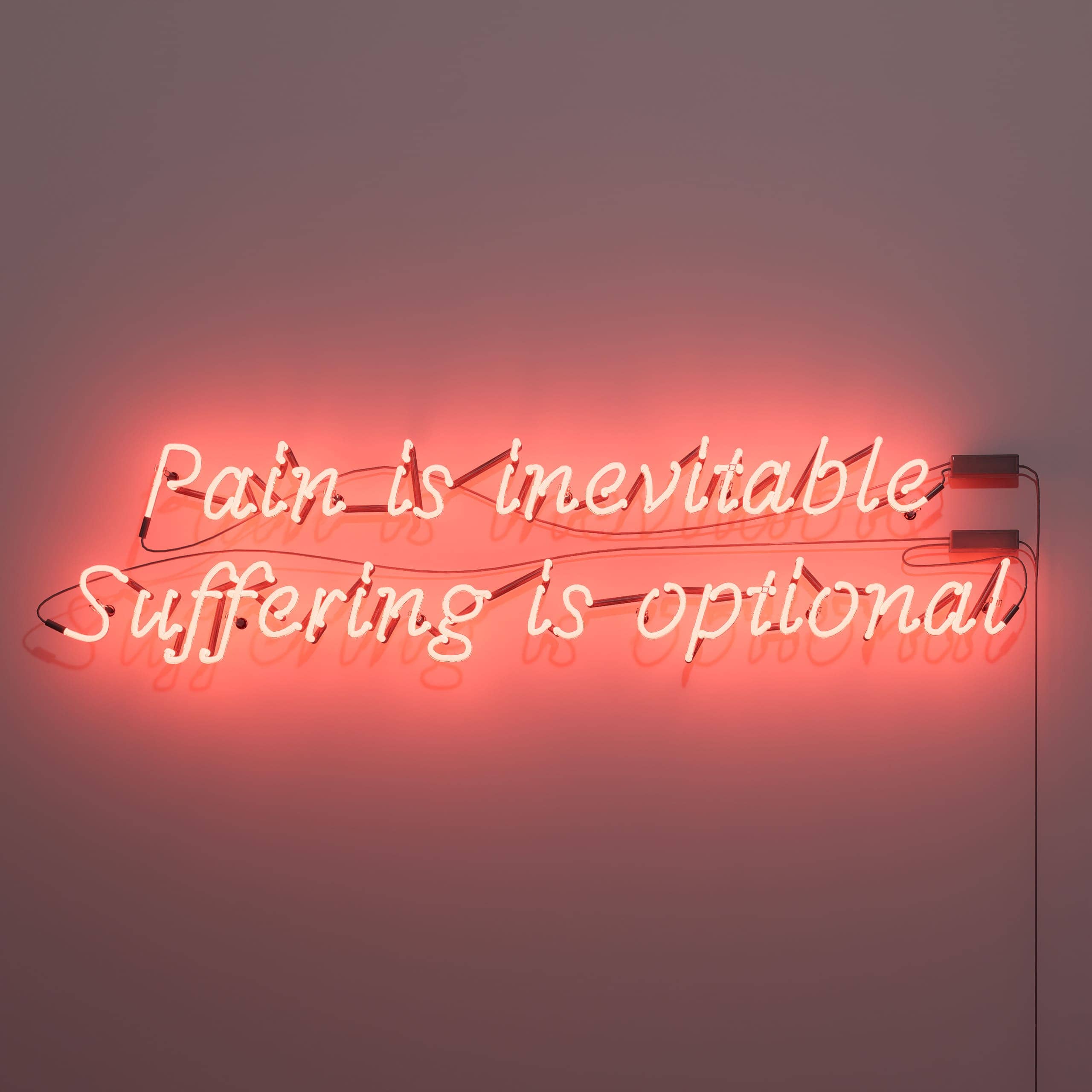 vintage-neon-signs-convey-'pain-is-inevitable.-suffering-is-optional.'