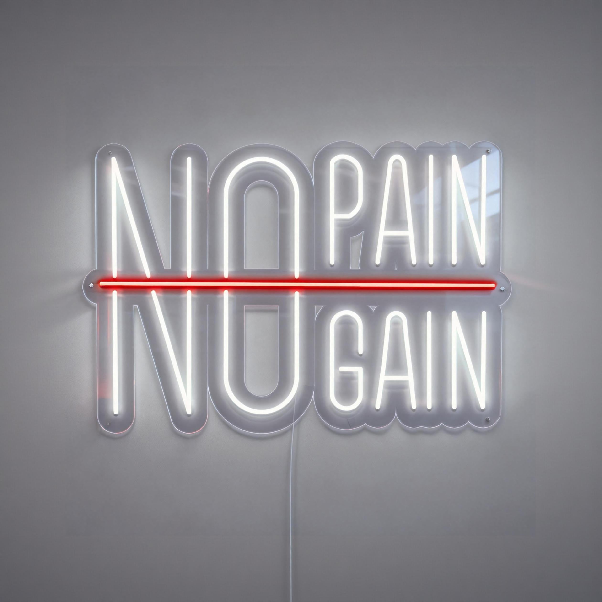 No Pain No Gain Neon Sign