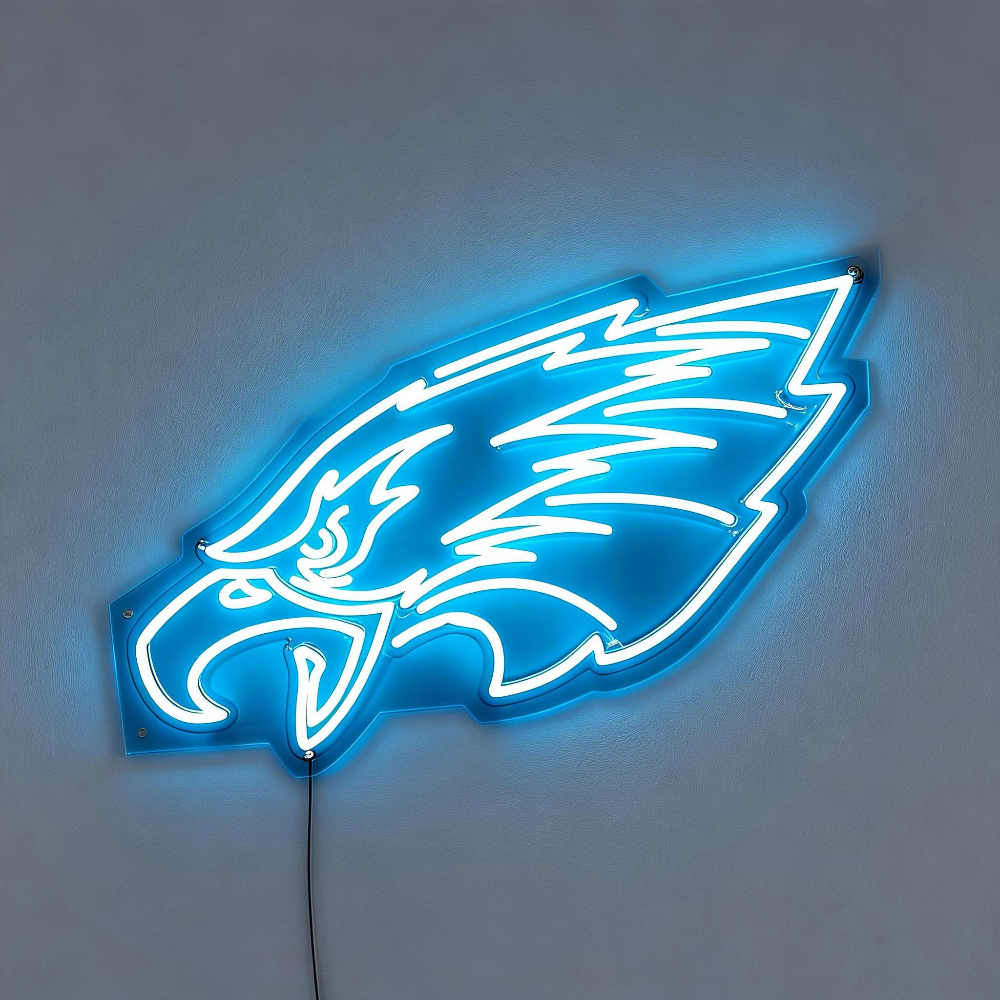 Philadelphia Eagles Neon Sign