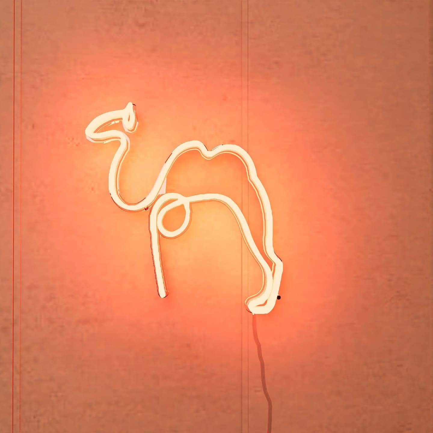 A neon sketch of a camel basking in a sunset-like orange glow.