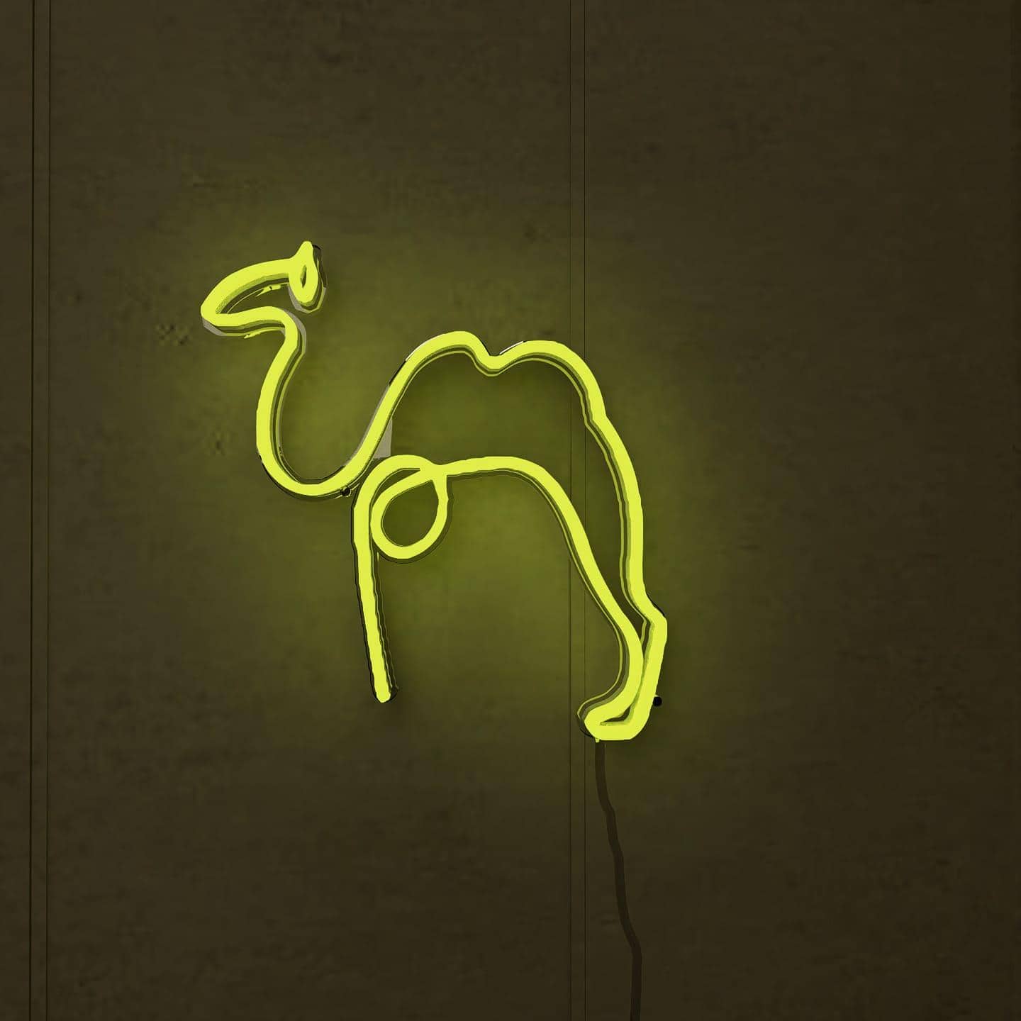 LED silhouette of a camel set in a citrus sands theme.