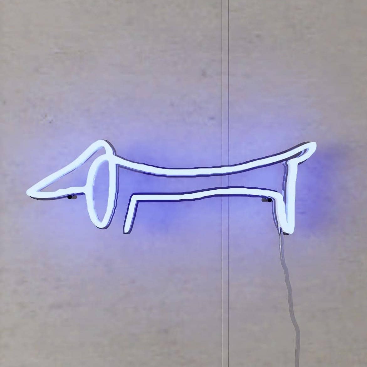 picasso-sketch-of-dachshund-hanging-on-wall-display-illuminated-at-night-blue