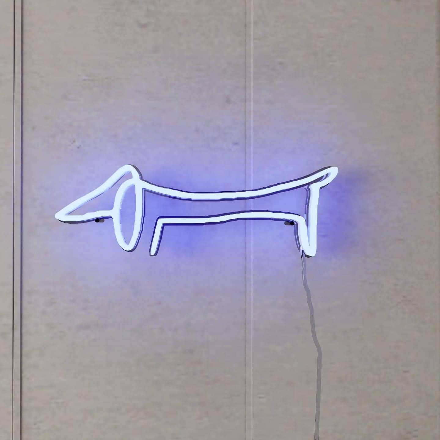 picasso-sketch-of-dachshund-hanging-on-wall-display-illuminated-at-night-blue