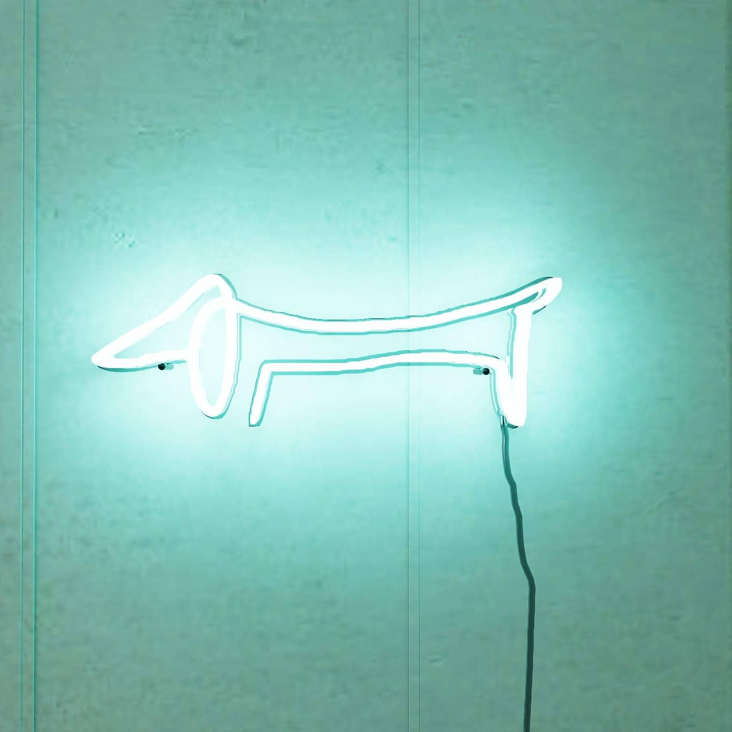 picasso-sketch-of-dachshund-hanging-on-wall-display-illuminated-at-night-green