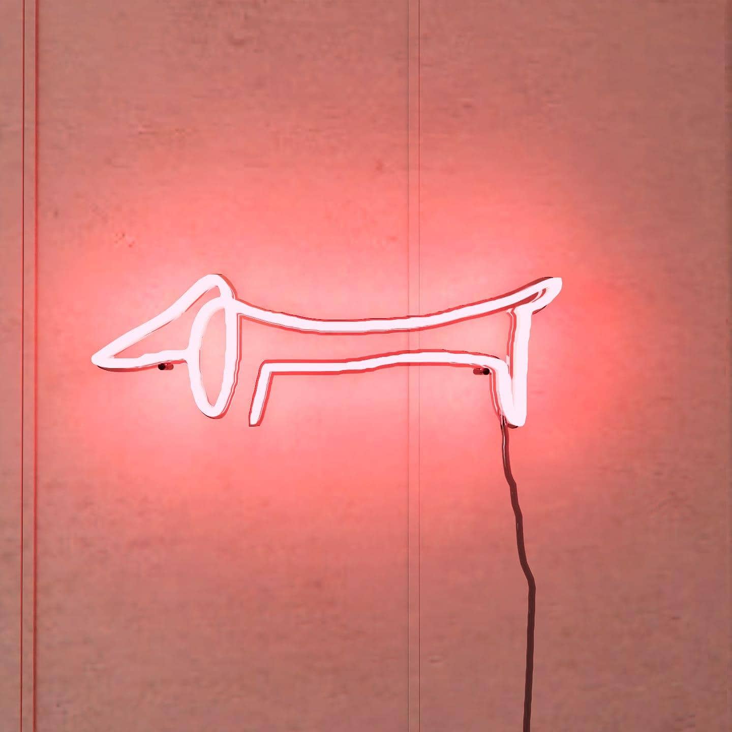 picasso-sketch-of-dachshund-hanging-on-wall-display-illuminated-at-night-red