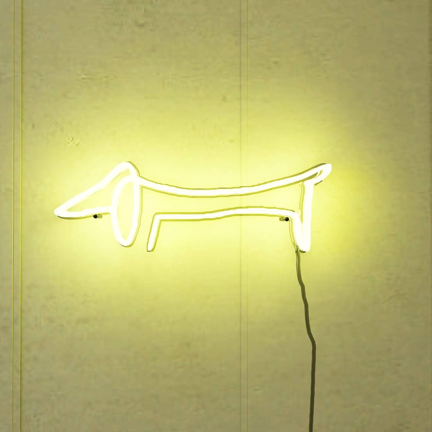 picasso-sketch-of-dachshund-hanging-on-wall-display-illuminated-at-night-golden