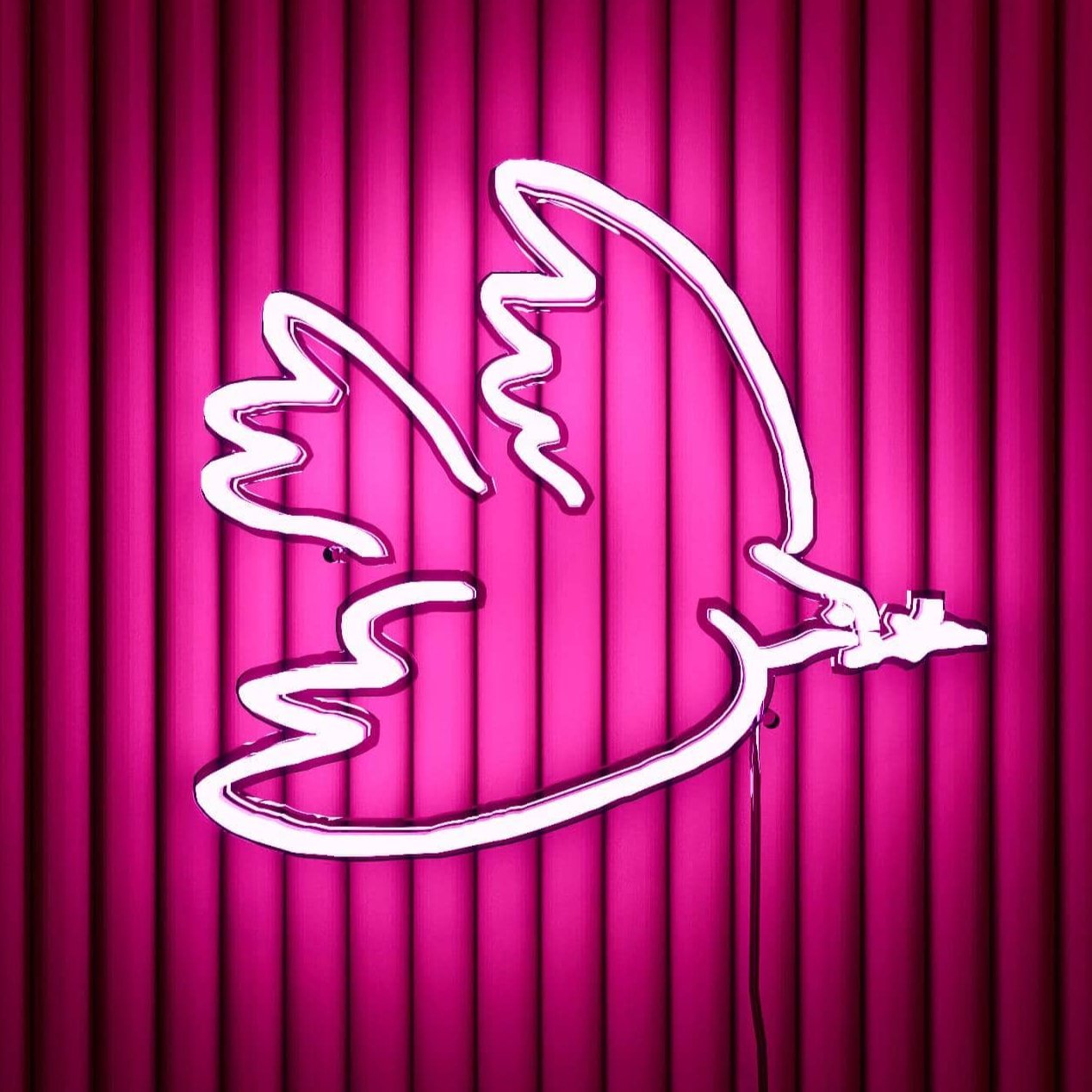 Abstract Neon Sign | Picasso sketch Peaceful Pigeon - NeonsignLife