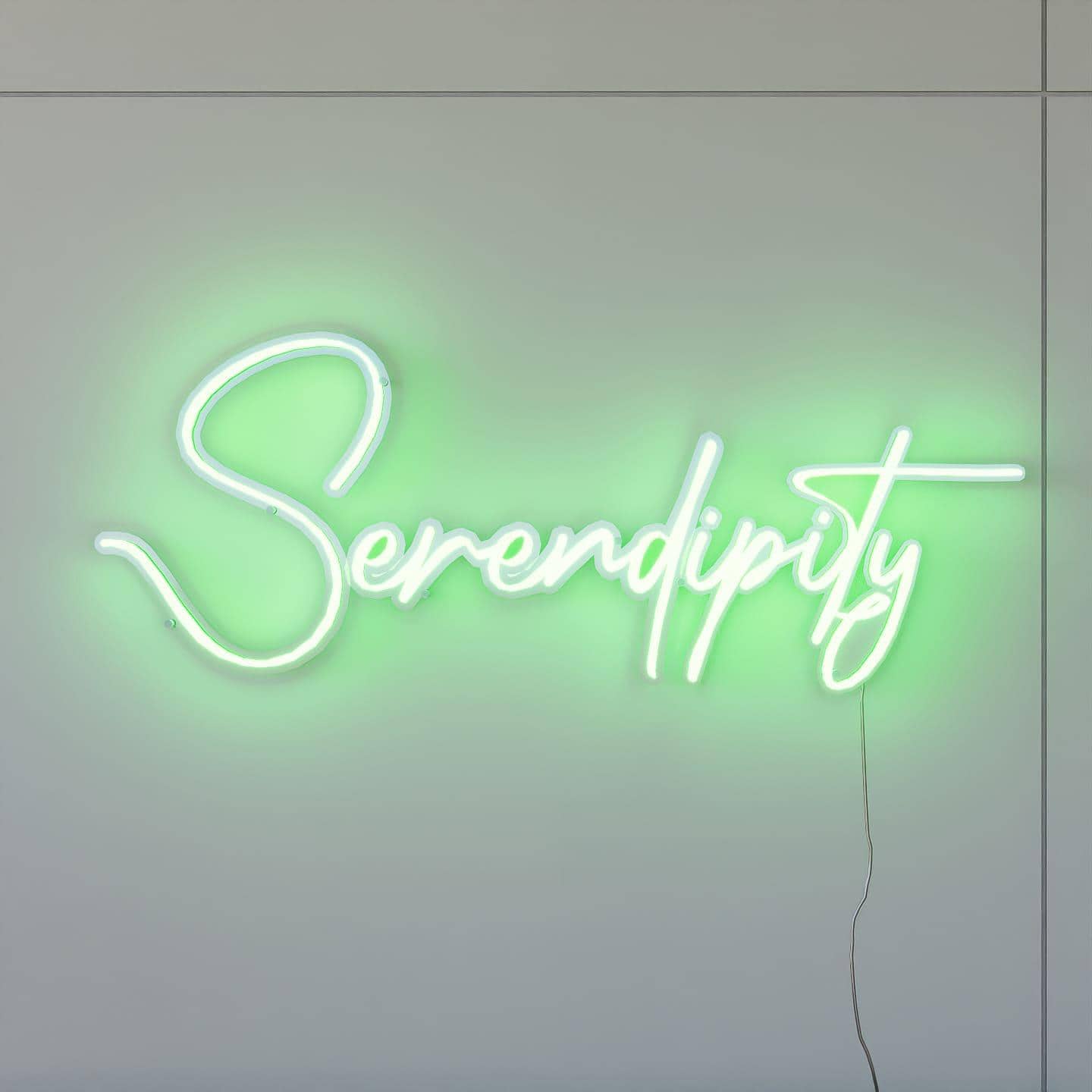 LED Neon sign | Serendipity - NeonsignLife
