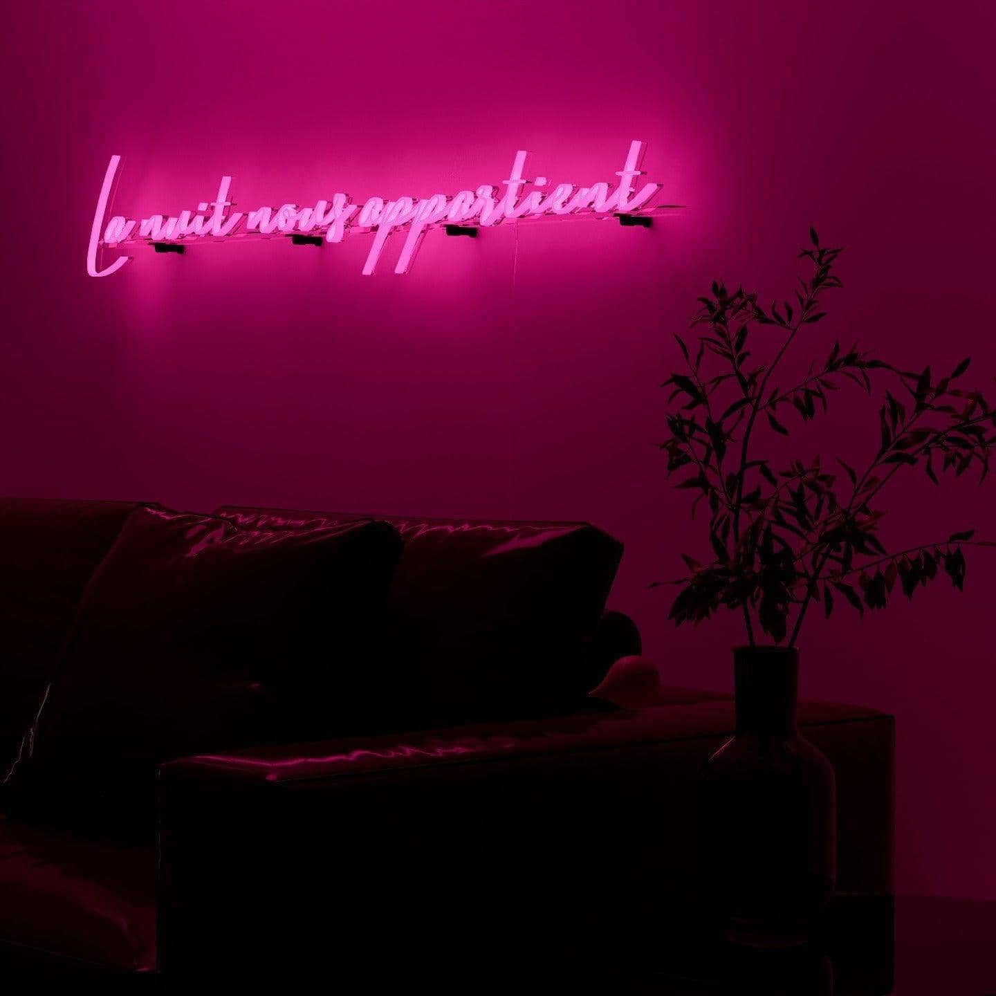 dark-night-lit-pink-neon-lights-hanging-on-the-wall-for-display-la-nuit-nous-appartient-la-nuit-nous-appartient