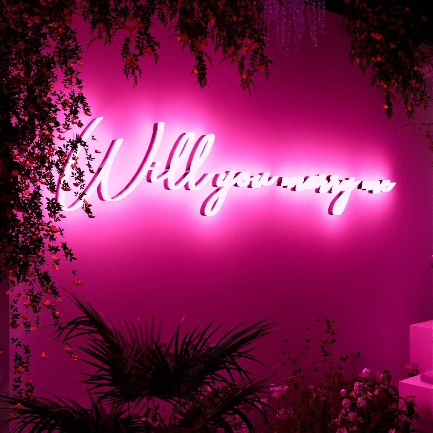 Light pink neon lights hanging on the wall-Will You Marry Me